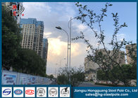 Tiang Lampu Singe / Komersial Ganda Standar ISO 9001 Untuk Penerangan Jalan Raya