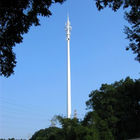 Menara Telekomunikasi Profesional, Menara Pine Tree yang disamarkan